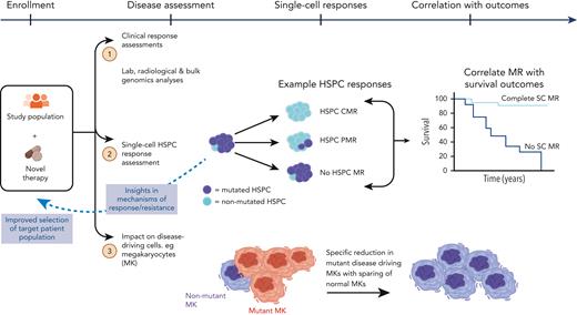 Application of SC technologies in clinical trials. Parallel analysis of mutant HSPCs to assess the response to novel therapies and correlate with disease outcomes. HSPCs, hematopoietic stem and progenitor cells; HSPC CMR, complete molecular response (no mutation detected in HSPC compartment); HSPC PMR, partial molecular response (mutation reduction >50% in HSPC compartment); No HSPC MR, no molecular response (no mutation reduction in HSPC compartment); SC, single-cell.