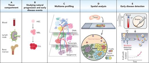 Future directions for single-cell technology in CLL. Sampling from various compartments such as the blood, lymph nodes, and bone marrow (A) and sampling from early stages of the CLL disease (B) can increase our understanding of CLL development and may aid with earlier diagnosis and treatment optimization. Additionally, using a variety of high-throughput methods such as multiome profiling (C) and spatial analysis (D) can provide an in-depth understanding of CLL and immune cell regulation and function. (E) In the future, single-cell analysis potentially could inform clinical diagnostics for early disease detection, early detection of relapse, and evaluation of the functional state and potential therapeutic vulnerabilities of the relapsed cells. HSC, hematopoietic stem cell.