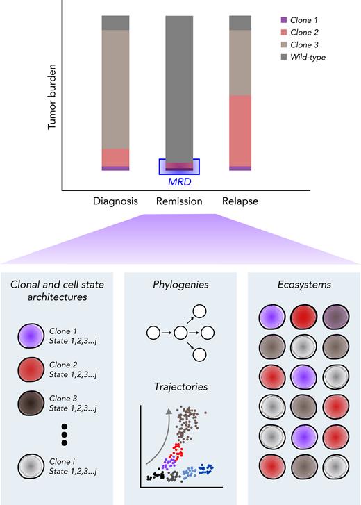 Single-cell assessment of MRD. Multiomic evaluation of MRD at remission may provide not only the underlying clonal architecture but also the cellular state of each clone, potential cellular fates, and cell-cell ecosystems within the bone marrow environment. Comparing these observations with those from diagnosis and relapse and the patient’s eventual clinical outcome may provide valuable insight into the clinical significance of the detected MRD.