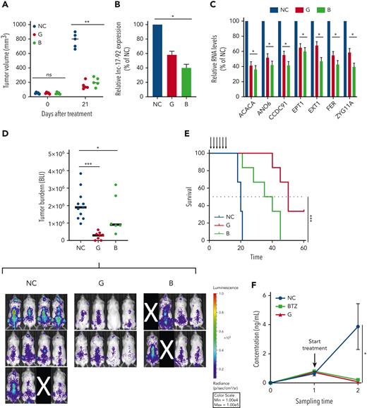 Therapeutic inhibitors of MIR17HG exert potent antitumor activity in vitro and in vivo in animal models of human MM. (A) Subcutaneous in vivo tumor growth of AMO1 cells in NOD SCID mice, 21 days after treatment with G2-15b∗-TO (G; n = 5), B9-19-TO (B; n = 5), or vehicle (NC; n = 5). (B-C) qRT-PCR analysis of lnc-17-92 (C) and lnc-17-92 targets (D) in AMO1 xenografts, retrieved from animals treated with G2-15b∗-TO (G; n = 1), B9-19-TO (B; n = 1), or vehicle (NC; n = 1) as a control. Raw Ct values were normalized to ACTB mRNA and expressed as ΔΔCt values calculated using the comparative cross threshold method. Expression levels in NC were set as an internal reference. (D) Bioluminescent imaging–based (BLI-based) measurement of in vivo tumor growth of MOLP8-luc+ in NSG mice, after treatment with G2-15b∗-TO (G; n = 8), B9-19-TO (B; n = 6), or vehicle (NC; n = 11). On the top, a scatter plot shows the analysis of bioluminescence intensity. Red bars indicate median value. Bioluminescence was measured at the end of the treatment cycle (day 15). Image acquisition (below). Mice removed from the study owing to failed IV injection of tumor cells are covered by a black rectangle. (E) Survival analysis from experiment in panel E. (F) Human κ light chain enzyme-linked immunosorbent assay–based measurement of in vivo tumor growth of MM patient cells in NSG mice (PDX-NSG), after treatment with G2-15b∗-TO (G; n = 2), bortezomib (BTZ; n = 2), or vehicle (NC; n = 3). Black arrows indicate treatments. ∗P < .05; ∗∗P < .01; ∗∗∗P < .001. Max, maximum; Min, minimum; ns, not significant.