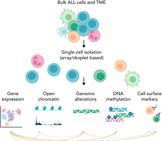 Simplified schema of main single-cell applications. Part of the figure was created in BioRender.com.