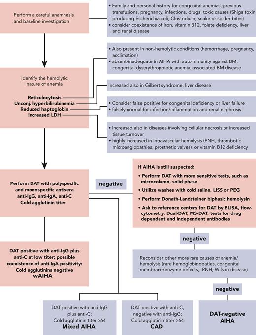 Diagnostic algorithm of AIHA. The DAT or Coombs test is the cornerstone of diagnosis, and allows the distinction of the different forms of AIHA. wAIHA is the most common form, accounting for 60% to 70% of all cases; the DAT is positive with anti-IgG antisera (70% of all wAIHA) or anti-IgG plus C at low titer. Cold agglutinin disease (CAD; 20% to 25% of all AIHAs) is characterized by DAT positivity with anti-C antisera and high titer of cold agglutinins. In mixed forms (5% to 10% of all AIHAs), the DAT is positive for IgG plus C, and cold agglutinins are present at high titer. The atypical forms (∼10% of all AIHAs) include DAT−, IgA, and warm IgM-driven AIHAs. Finally, it is necessary to record the very rare form named paroxysmal cold hemoglobinuria (1% to 3% of all AIHAs) sustained by the biphasic Donath-Landsteiner hemolysin. ELISA, enzyme-linked immunosorbent assay; LISS, low-ionic salt solution; MS-DAT, mitogen-stimulated DAT; PEG, polyethylene glycol; PNH, paroxysmal nocturnal hemoglobinuria.