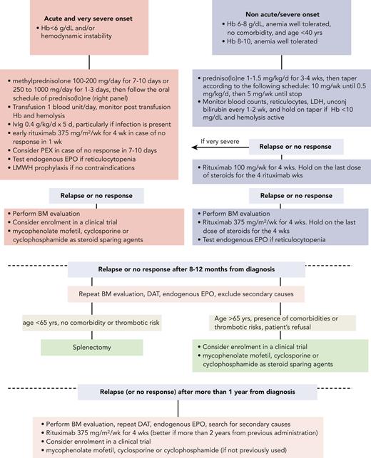 Therapeutic flow-chart of wAIHA. This figure illustrates the therapy lines of wAIHA. Responses include complete responses (CR) and partial responses (PR); CR is defined by normalization of Hb and hemolytic markers (unconjugated bilirubin, LDH, haptoglobin, and reticulocytes); PR is defined by Hb >10 g/dL or at least an increase by >2 g/dL, with or without biochemical resolution of hemolysis; lack of response or relapse is defined as Hb <10 g/dL or at least 2 g/dL decrease with alteration of hemolytic markers. EPO, erythropoietin; LMWH, low-molecular-weight heparin; PEX, plasma exchange.