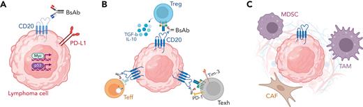 Mechanisms of resistance to BsAb within the lymphoma microenvironment. Potential mechanisms of resistance to BsAb therapy include (A) tumor cell–intrinsic mechanisms, such as antigen loss and activation of immune-evasive gene expression programs, (B) T-cell intrinsic mechanisms, including activation of regulatory T-cells, downregulation of the T-cell receptor, and development of T-cell exhaustion, and (C) T-cell extrinsic mechanisms, including recruitment of immunosuppressive myeloid and/or stromal cells. CAF, cancer-associated fibroblast; IL-10, interleukin-10; MDSC, myeloid-derived suppressor cell; PD-1, programmed death 1; PD-L1, programmed death ligand 1; TAM, tumor-associated macrophage; Teff, effector T cell; Texh, exhausted T cell; TGF-b, transforming growth factor beta; Tim-3, T-cell immunoglobulin mucin-3; Treg, regulatory T cell.