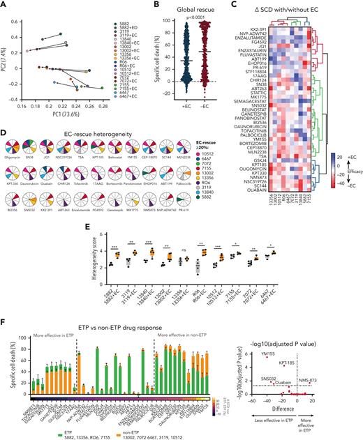 ECs provide protumorigenic signals to T-ALL cells. (A) Principal component analysis (PCA) plot showing the responses of 10 individual T-ALL PDX models cultured with and without ECs connected by vectors depicting the trajectory of the EC rescue. (B) Scatter plot showing the differential specific cell death between samples cocultured with E4-ECs vs alone for the 10 models from panel A. P value was estimated by t test. (C) Heat map showing the differential responses of 10 T-ALL PDX models in the presence or absence of ECs. Color coding corresponds to the change (delta) in specific cell death (SCD) of the +EC minus the –EC conditions (here referred to as efficacy ± EC). Red indicates drugs that are rescued by ECs; blue indicates those that produce more death in the presence of ECs. (D) Pie charts indicating the drugs having greater than 20% EC-mediated rescue for the 10 T-ALL PDX models. (E) Box-and-whisker plots showing the heterogeneity score (calculated as a modified Shannon entropy) per T-ALL PDX model in the presence or absence of ECs. (F) Box plot showing specific cell death (SCD) on exposure to the 39 most active compounds from the library in either ETP (yellow bars) or non-ETP (gray bars) models (median and standard error). Middle: Drugs that are equally effective between the 2 subgroups. Left: Drugs that are more efficient in ETP T-ALL. Right: Drugs that are more efficient in non-ETP T-ALL. The Δ SCD is color-coded at the bottom of the bars. Inset: Volcano plot of the same data, depicting –log10P value corrected for multiple comparison (y-axis) and Δ SCD of ETP minus non-ETP samples. Top left corner: Drugs that are significantly less effective in ETP. Top right corner: Drugs that are significantly more effective in ETP models. ns, not significant.