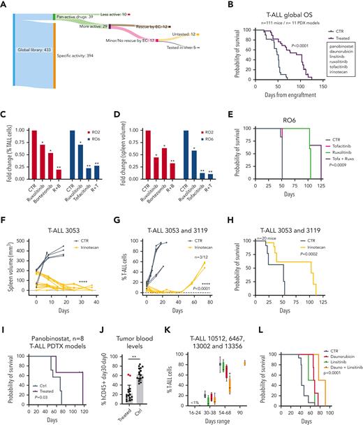Efficacy of positive hits from stepwise drug discovery approach in vivo. (A) Representative scheme of our stepwise drug discovery approach coupled with in vivo preclinical trials. Tumor cells from T-ALL PDXs were first screened with a library of 433 compounds in 384-well plate format. Positive hits were then validated in 96-well plate format with and without E4-ECs. The number of candidates was narrowed down (n = 29) after implementation of multiple experimental conditions and validations. Representative drugs not rescued by E4-ECs were then tested in vivo and proved to be effective in T-ALL PDX mice. (B) Kaplan-Meier plot depicting overall survival of all the mice (n = 111) treated with vehicle vs different therapeutic regimens across 11 different PDX models. P value was calculated using a log-rank test. (C) Bar plot showing the fold change in the percentage of T-ALL cells in the blood of RO2 and RO6 PDX mice treated with ruxolitinib, bortezomib, tofacitinib, and combinations compared with controls. P values were calculated by t test. ∗P < .05; ∗∗P < .01. (D) Bar plot showing the fold change in the spleen volume (measured by MRI) of RO2 and RO6 mice treated with ruxolitinib, bortezomib, tofacitinib, and combinations compared with controls. P values were calculated by t test. ∗P < .05; ∗∗P < .01. (E) Kaplan-Meier plot depicting overall survival of RO6 mice treated with vehicle, tofacitinib, ruxolitinib, or combination. P value was calculated using a log-rank test. (F) Line-dot plot showing changes in spleen volume (measured by MRI) of 3053 PDX mice treated with irinotecan (20 mg/kg per day) compared with controls in a timeframe of 40 days. P value was calculated by t test. ∗∗∗∗P < .0001. (G) Line-dot plot showing changes in percentage of T-ALL cells in blood of 3053 and 3119 PDX mice treated with irinotecan compared with controls in a timeframe of 80 days. Three of the 12 irinotecan-treated mice relapsed and died of leukemia. P value was calculated by t test. ∗∗∗∗P < .0001. (H) Kaplan-Meier plot depicting overall survival of 3053 and 3119 PDX mice treated with vehicle or irinotecan. Nine of the 12 irinotecan-treated mice died without leukemia. P value was calculated using a log-rank test. (I) Kaplan-Meier plot depicting overall survival of 8 different T-ALL PDX models (6467, 14741, 7072, 7155, 13002, 13356, 10512, and 5384) treated with vehicle or HDAC inhibitor panobinostat (n = 2 mice per arm, n = 32 mice total) (5 mg/kg per day). Mice belonging to 3 of the 8 models (5384, 7155, and 6467) died without leukemia. P value was calculated using a log-rank test. (J) Bar plot depicting the circulating T-ALL cells (difference between day 30 and day 0; day 0: first T-ALL detection in the blood) in 8 PDX models treated with vehicle or panobinostat. A single partially refractory model was identified (1 of 8, 7072 PDX T-ALL). P value was calculated by t test. ∗∗P < .001. (K) Bar plots depicting the percentage of circulating T-ALL cells in 4 PDX models (10512, 6467, 13002, and 13356) treated with vehicle, daunorubicin (1.2 mg/kg for 3 days/week), linsitinib (50 mg/kg per day), or combination (n = 2 mice per arm, n = 32 mice total). Mice treated with daunorubicin plus linsitinib displayed delayed leukemia progression compared with the other arms. P value was calculated by t test. ∗P < .05. (L) Kaplan-Meier plot depicting overall survival of 10512, 6467, 13002, and 13356 T-ALL PDX models treated with vehicle, daunorubicin, linsitinib, or combination. Mice treated with daunorubicin plus linsitinib survived until 3 months from enrollment. P value was calculated using a log-rank test.
