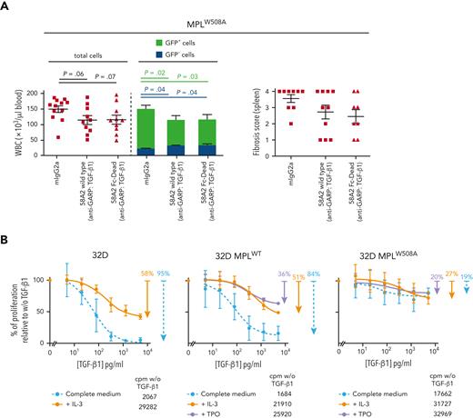 Reduced tumor burden and fibrosis in PMF do not require effector functions of anti-GARP:TGF-β1 mAbs. (A) MPLW508A mice were treated with wild-type or Fc-dead mAbs as indicated in Figure 2 (n = 8-10 mice per group). Blood was taken on day 21 and mice were euthanized on day 32 to collect femurs and spleens. Blood cell counts, GFP expression, and spleen fibrosis were measured as indicated in Figure 2. Data points: values in individual mice; horizontal lines: mean ± SEM per group; stacked bars: mean + SEM. P values were calculated using a two-tailed Student t test. (B) 32D cells were transduced with MplWT-IRES-GFP or MplW508A-IRES-GFP RV and GFP+ cells were sorted by flow cytometry. Parental 32D cells, sorted MPLWT/GFP+, or MPLW508A/GFP+ bulk cell populations, or clones (supplemental Figure 6) were cultured in complete medium, in the absence or presence of recombinant IL-3, TPO, or TGF-β1, as indicated in the graphical legend. Proliferation was measured in 3H-thymidine incorporation assays. Maximum growth inhibition (%) in the presence of rTGF-β1 is indicated in colored text on the right and was calculated as follows: (cpm w/o rTGF-β1 – cpm at the highest concentration of rTGF-β1) ÷ (cpm w/o rTGF-β1). Data points: mean cpm ± SD (triplicates). Results are representative of 2 independent experiments. cpm w/o rTGF-β1, counts per minute in the absence of rTGF-β1; SD, standard deviation.