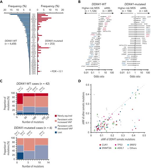 Comutation patterns of DDX41 mutated and unmutated cases with MNs. (A) Frequency of co-occurring driver mutations in DDX41-mutated and unmutated cases. Significant difference (q < 0.1) is shown by an asterisk. (B) Comparison of the frequency of driver mutations between HR-MDS and sAML in DDX41-mutated and -unmutated cases in forest plots of ORs and their 95% CI. Type-1 (FLT3, NRAS, WT1, NPM1, IDH1, IDH2, and PTPN11) and Type-2 (GATA2, KRAS, TP53, RUNX1, STAG2, ASXL1, ZRSR2, and TET2) genes are indicated by red and blue characters, respectively. (C) Compositions of Type-1, Type-2, somatic DDX41, and other mutations are shown for each set of mutations that were newly acquired, that persisted with increased or decreased clone size, and that were lost in the second sampling. (D) Diagonal plot comparing variant allele frequencies adjusted by CNAs (aVAF) of somatic DDX41 mutations (the horizontal axis) and co-occurring driver mutations in other genes indicated by colors (the vertical axis).