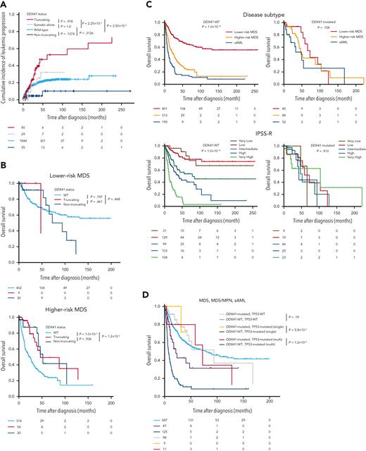Clinical impacts of DDX41 germ line and somatic variants. (A) Cumulative incidence of leukemic progression in MNs patients with P/LP germ line truncating/nontruncating DDX41 variants, those with somatic alone, and those without any DDX41 mutation. (B) Kaplan-Meier curves of OS in MDS with and without DDX41 mutations (truncating and nontruncating variants). LR- and HR-MDS were separately shown. (C) Kaplan-Meier curves of OS depending on disease subtype and IPSS-R. Patients with or without any DDX41 mutations were separately shown. (D) Kaplan-Meier curves of OS in MDS, MDS/MPN, and sAML depending on the allelic status of TP53 and the presence of DDX41 mutations. Patients not examined by copy-number analysis, for whom the allelic status of TP53 could not be determined, were excluded from the analysis. P values are provided using Gray test in panel A, and the log-rank test in panels B-D.