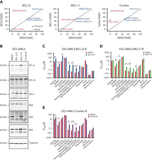 Acquired resistance to BH3-mimetics selects for BAX loss in vitro. (A) VAF of indicated variants in OCI-AML3 cells with acquired resistance to BH3-mimetics compared with dimethyl sulfoxide (DMSO) control. OCI-AML3 cells, which harbor a naturally occurring BAX E41Gfs∗33 abnormality were continuously passaged with progressively higher concentrations (maximum 3 μM) of BCL-2i resistant (BCL-2i-R), MCL1i resistant (MCL1i-R), or combined BCL-2i-R and MCL1i-R (combo R). Cells were then treated in the absence of drug(s) for 6 weeks and BAX targeted amplicon sequencing was performed and compared with DMSO control. (B) Immunoblot profiling of BCL-2 family proteins in OCI-AML3 cultures tolerant to 3 μM of drug (DMSO, BCL-2i-R, MCL1i-R, or combo R). (C-E) Sensitivity of BH3-mimetic resistant (tolerant to 3 μM) OCI-AML3 cells to various drugs and combinations. OCI-AML3 DMSO control, BCL-2i-R, MCL1i-R, or combo R cells were treated with the indicated drugs as single agents or in equimolar combination (0.001-10 μM). Sensitivity was expressed as the 50% lethal concentration (LC50 μM) determined by flow cytometry after 48 hour-exposure. Error bars are standard deviation (SD) of 3 independent experiments. ∗P < .05, ∗∗P <.01, and ∗∗∗P < .001.
