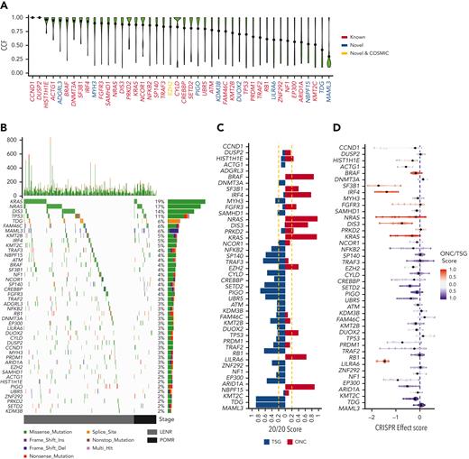 The mutational driver landscape of rrMM. (A) CCF distribution of driver genes identified in this cohort ordered by mean CCF (black dot). Gene labels are colored according to their status: known, previously reported in ndMM; novel COSMIC, newly identified but present in the COSMIC cancer gene set; and novel, not previously reported in either ndMM or COSMIC. (B) Mutational landscape of drivers identified in the rrMM cohort. The top panel represents the frequency of nonsilent mutations in each tumor across the genome. The main panel is a waterfall plot of mutations identified in each driver gene across all tumors. The right panel shows the frequency of each driver in the rrMM cohort in percentages and the type of mutations that constitute the mutation burden of each driver gene (length of the bar reflecting the frequency). All 3 panels are colored according to the functional consequence of mutations as predicted by ANNOVAR. Multi-hit: tumors with more than one mutation with different functional consequence. Tumors are ordered by their relapse stage. LENR, lenalidomide resistant; POMR, pomalidomide resistant. (C) Categorization of identified driver genes into ONC or TSG based on the 20/20 rule.16 The ONC and TSG scores are shown with red and blue color, respectively, and the vertical yellow dashed lines represent the cut-off thresholds for the 20/20 rule. Genes are ordered by mean CCF as in panel A. (D) Gene essentiality of driver genes based on the CRISPR effect score in MM cell lines where more negative values represent essential genes. Each dot represents a cell line, and the diamond represents the median value per gene. Each gene is colored based on their mean ONC/TSG score. Scores between −0.2 and 0.2 are considered inconclusive (gray). Genes are ordered by mean CCF as in panel A.