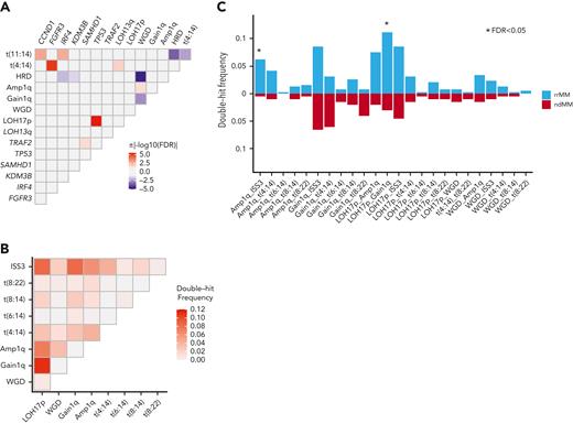 Somatic interactions of genomic aberrations in the rrMM data set. (A) Only genomic events with at least 1 significant pairwise association (FDR < 0.1) are shown. (B) Frequency of double-hit events of high-risk features observed in the rrMM data set. (C) Enrichment analysis of double-hit events in rrMM. Each event was compared between rrMM and ndMM cohorts using the Fisher exact test and those significant after multiple-testing correction (FDR < 0.05) are shown with an asterisk.