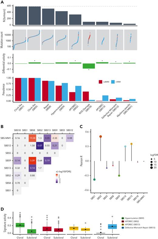 Differential analysis of genome-wide mutational signatures. (A) From top to bottom: number of tumors with SBS signatures across the entire data set (dotted line represents combined ndMM and rrMM sample size) with signatures sorted left to right by descending count, number of mutations per sample (color representing groups) in respective signatures, differential activity of signatures between rrMM and ndMM with values in the positive direction showing enrichment in the rrMM cohort and vice versa, proportion of tumors carrying each signature in each cohort. (B) Heatmap of pairwise associations among SBS signatures as assessed by Fisher exact test. ORs are given for each pair and shades of red and blue colors represents statistically significant cooccurrence (OR > 1) and mutual exclusivity (0 < OR < 1) patterns, respectively, after multiple-testing correction (FDR < 0.05). Gray color indicates nonsignificant association regardless of OR value. (C) Lollipop plot of correlation coefficient values between the activity of each SBS signature and mutation burden in rrMM tumors. The length of the bars represents the Pearson R value and the size of the circles represents the log10 of the FDR-adjusted P value of the correlation (larger circles indicate higher significance). Colors of the signatures match those in supplemental Figure 10. (D) Shift in mutational signature activity between clonal and subclonal mutations for signatures displaying strong positive correlation with mutation burden in the rrMM cohort and SBS9 (hypermutation signature) for comparison. SBS12 shows a strong signal of subclonal increase, whereas SBS9 shows decrease across most tumors.