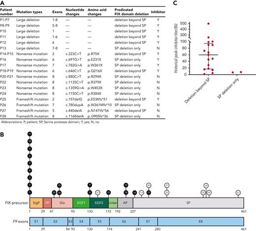 The detailed data for the current study cohort. (A) The spectrum of the F9 mutations in this cohort. (B) The distribution of mutations on F9 encoding regions and FIX structure domains among 28 children with hemophilia B. Black circles represent patients with inhibitor, white circles represent non-inhibitor patients, and the number in the circle represents the number of patients. (C) The peak inhibitor titers of patients with only serine protease (SP) domain deletion and FIX truncation beyond the SP domain.