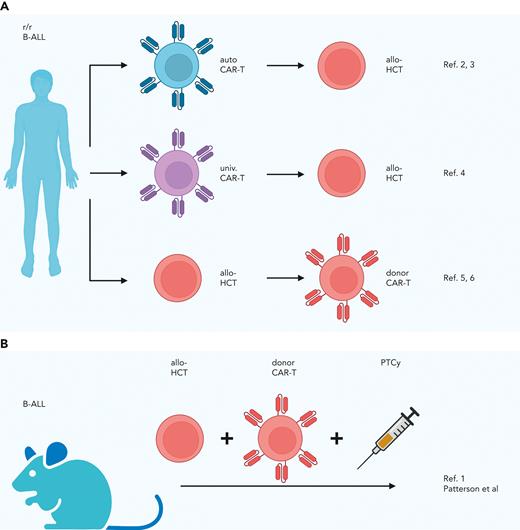 Combination strategies for allogeneic hematopoietic cell transplantation and CAR-T cells previously reported (A) and developed by Patterson et al (B). allo, allogeneic; auto, autologous; r/r, relapsed or refractory; univ., universal.