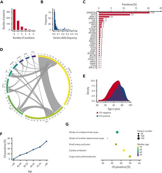 Sequencing analysis and demographic and clinical characteristics of 581 patients with ischemic stroke from the PROSCIS-B study with respect to CH status. (A) Number of patients stratified by the number of detected mutations. (B) Histogram of VAF. (C) Gene-specific somatic mutation prevalence in 581 patients of the PROSCIS-B cohort. (D) CIRCOS plot (www.circos.ca) visualizing the comutational spectrum of the PROSCIS-B cohort. Segment length depicts number of patients with mutation(s) in the respective gene. Multiple mutations in the same gene are not considered. Ribbons depict the frequency of co-occurrence of 2 gene mutations in the same patient. (E) Age distribution of the PROSCIS-B cohort of CH-positive and CH-negative patients. (F) CH prevalence according to patient age. (G) CH prevalence according to etiological cause of stroke, as defined by the Trial of ORG 10172 in Acute Stroke Treatment criteria. Point size visualizes patient number, and color visualizes median age of the group.