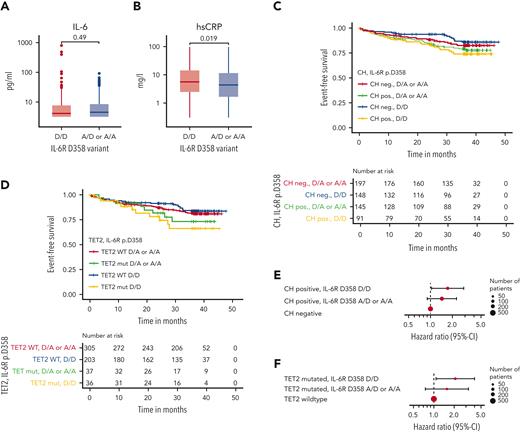 Interplay of clonal hematopoiesis, systemic inflammation, and IL-6R p.D358A. (A) IL-6 levels according to the IL-6R p.D358 variant. (B) hsCRP levels according to the IL-6R p.D358 variant. (C) Kaplan-Meier analysis of the CEP, stratified by CH status and IL-6R p.D358 variant. (D) Kaplan-Meier analysis of the CEP, stratified by TET2 mutation (mut.) status and IL-6R p.D358 variant. (E) HRs and 95% CI for the CEP from univariable Cox regression for CH-positive (pos.) patients, according to the IL-6R p.D358 variant compared with CH-negative (neg.) patients. (F) HRs and 95% CI for the CEP from univariable Cox regression for TET2-mutated patients, according to the IL-6R p.D358 variant compared with CH-negative patients. WT, wild type.