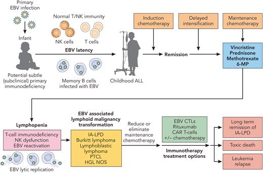 Potential mechanisms and treatment of EBV-associated immune deficiency associated- lymphoproliferative disorders (IA-LPD) in children treated for acute lymphoblastic leukemia. Professional illustration by Patrick Lane, ScEYEnce Studios.
