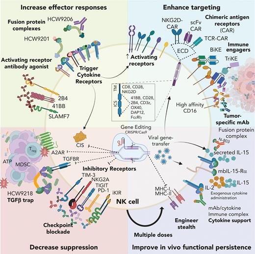 Strategies for improving NK cell–based therapy. NK cells used in therapy can be improved by increasing effector responses, enhancing targeting, decreasing suppression, and improving in vivo functional persistence. ECD, extracellular domain; HCW9201, IL-12/IL-15/IL-18 receptor agonist; HCW9206, IL-7/IL-15/IL-21 receptor agonist; N-803, IL-15 receptor super agonist; mbIL-15-Rα, membrane-bound IL-15 receptor associated with high-affinity IL-15 receptor alpha subunit; HCW9218, IL-15 receptor agonist fused with TGF-β trap; BiKE/TriKE, bi- or tri-specific killer engagers, respectively; TM/ICS, transmembrane/intracellular signaling domain.