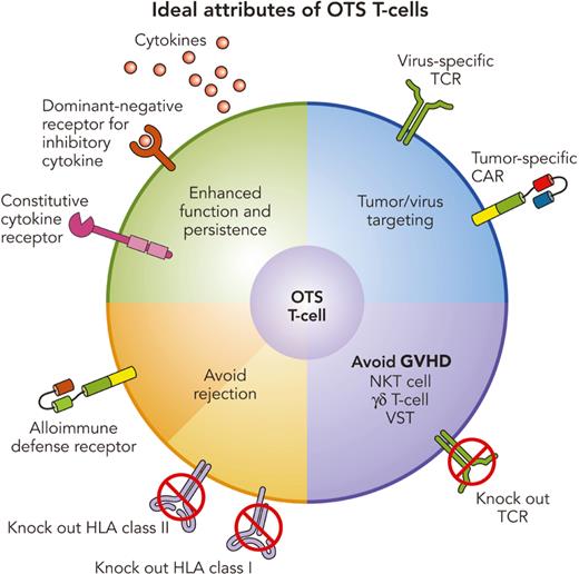 Professional illustration by Patrick Lane, ScEYEnce Studios.