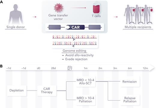 Concept of banked universal CAR T cells. (A) CAR T cells can be generated from healthy allogeneic donors for use in multiple recipients after genome editing to remove endogenous TCRαβ to prevent GVHD, disruption of HLA to reduce rejection or removal of CD52 to allow cells to persist in the presence of alemtuzumab, a serotherapy used as a part of augmented lymphodepletion. (B) Therapeutic effects sufficient to induce molecular remission are achievable within a period of 2 to 4 weeks, offering a bridge of consolidation with allogeneic SCT.