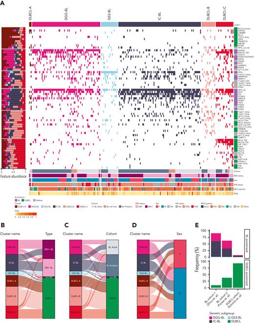 Identification of distinct genomic subgroups in BL and DLBCL. (A) Clustering solution from non–negative matrix factorization (NMF) utilizing a combination of simple somatic mutations, CNVs, SVs, SHM patterns, and hotspot mutations as features. The proportional abundance of each feature in the clusters is shown on the left side. Each individual feature is labeled on the right side of the heat map. IGH/K/L-MYC breakpoints were considered as separate features (labeled as “MYC_IG”), and when MYC was not translocated to IGH, IGK, or IGL, it was considered separately and labeled “MYC_not_IG.” The right annotation track depicts whether the feature significantly enriched in BL, DLBCL, or neither of these entities. Alluvial plots showing distribution of different entities by EBV status (B), age (C), or sex (D) between identified clusters. For all panels except A, only patient samples with available sex information are shown. IGH, immunoglobulin heavy chain; IGK, immunoglobulin light chain kappa; IGL, immunoglobulin light chain lambda.