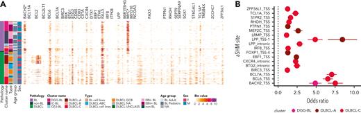 Genetic subgroups are characterized by distinct molecular features. (A) Rates of simple somatic mutations in 1000-bp windows sliding by 500 bp within known sites affected by aSHM. Only bins with at least 20 patients harboring mutations at the particular aSHM site are included in the visualization. Only the sites mutated at differential frequency between EBV-positive and EBV-negative, or between aBL and pBL, are shown (pairwise Fisher exact test with Benjamini-Hochberg multiple test correction). The asterisk (∗) alongside aSHM site indicates its mutation rates being significantly enriched in BL compared with DLBCL. (B) Patients with BL in the genetic subgroup DLBCL-C are characterized by the highest levels of mutation at aSHM sites across common targets (using only samples from patients with BL). Each point indicates odds ratio relative to the aSHM rates for patients in Q53-BL subgroup ± SE.