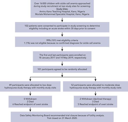 Flow diagram for recruitment, screening, enrollment, and follow-up of fixed low- and moderate-dose hydroxyurea group participants in the SPRINT trial for secondary stroke prevention in children with SCA.