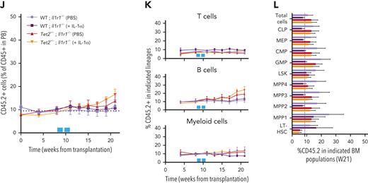 IL-1α–IL-1R1 axis directly drives Tet2+/− clonal expansion via increased multilineage differentiation. (A) Experimental design. (B) Longitudinal quantification of the percentage of CD45+ WT ZsG+ and CD45+Tet2+/− ZsG+ in PB of mice exposed to PBS or IL-1α (n = 2-5). (C) Longitudinal assessment of the percentage of WT or Tet2+/− ZsG+ cells in PB T cells, B cells, and myeloid cells of mice exposed to PBS or IL-1α (n = 4-6). Blue boxes on x-axis indicate IL-1α exposure period. (D) Terminal assessment of the percentage of WT or Tet2+/− ZsG+ cells in indicated BM populations of mice exposed to PBS or IL-1α (n = 4-6). (E) Experimental design. (F) Longitudinal quantification of the percentage of CD45.2+ WT and CD45.2+Tet2+/− in PB of mice exposed to PBS or IL-1α (n = 5-6). Blue boxes on x-axis indicate IL-1α exposure period. (G) Percentage of WT or Tet2+/− CD45.2+ cells in PB T cells, B cells, and myeloid cells of mice exposed to PBS or IL-1α (n = 5-6). (H) Percentage of WT or Tet2+/− CD45.2+ cells in indicated BM populations of mice exposed to PBS or IL-1α (n = 5-6). (I) Experimental design. (J) Longitudinal quantification of the percentage of CD45.2+ WT; Ilr1–/– and CD45.2+Tet2+/−; Ilr1–/– cells in PB of mice exposed to PBS or IL-1α (n = 5-6). Blue boxes on x-axis indicate IL-1α exposure period. (K) Percentage of CD45.2+ WT; Ilr1–/– and CD45.2+Tet2+/−; Ilr1–/– cells in PB T cells, B cells, and myeloid cells of mice exposed to PBS or IL-1α (n = 5-6). (L) Percentage of CD45.2+ WT; Ilr1–/– and CD45.2+Tet2+/−; Ilr1–/– cells in indicated BM populations of mice exposed to PBS or IL-1α (n = 5-6). ∗P < .05, ∗∗P < .01, ∗∗∗P < .001, and ∗∗∗∗P < .0001 by unpaired t-test (between PBS and IL-1α conditions, within the same genotype for C, D, G, H, K, and L) or by a 1-way analysis of variance with Tukey correction (for last time point in B, F, and J). Error bars represent standard error of the mean. WBM, whole bone marrow.