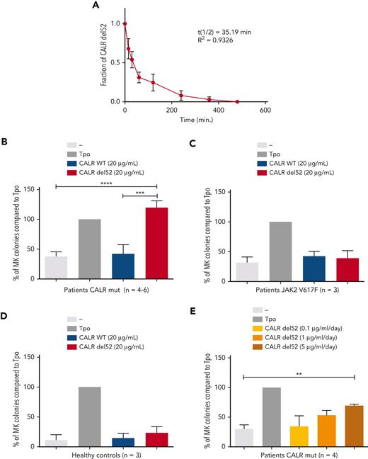 Induction of differentiation of MK progenitors by CALR-del52. (A) Stability study of rhCALR-del52 colony-forming unit MK culture medium. Six samples maintained at 37°C for various lengths of time were measured in duplicate by ELISA and analyzed using a 1-phase decay model (Prism6) to determine the averaged half-life and R2. Error bars represent SDs. CD34+CD41+ progenitors from 4 to 6 patients with mutated CALR (B), 3 patients with JAK2 V617F (B), and 3 normal controls (C) were sorted and cloned at 1 cell per well in 96-well plates in serum-free medium containing SCF and treated with a single, large dose of CALR-del52. Percentages of MK colonies were calculated compared with the Tpo condition. Results are shown as mean ± SEM. ∗∗∗∗P < .0001, ∗∗∗P < .001. One-way analysis of variance, Holm-Sidak multiple comparisons test. (D) Effect of daily treatment of CALR-del52 (0.1, 1, or 5 μg/mL) on MK colony formation. CD34+CD41+ progenitors from 4 patients with mutated CALR were tested and the percentages of MK colonies were calculated compared with the Tpo condition. Results are shown as mean ± SEM. ∗∗P < .01. One-way analysis of variance, Holm-Sidak multiple comparisons test.