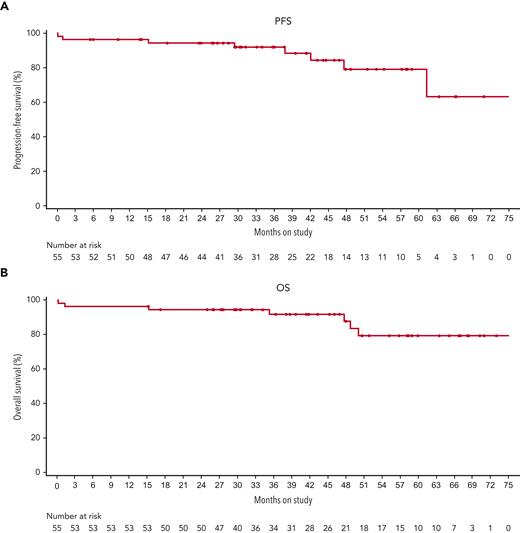 PFS (A) and OS (B) for patients included in the intent-to-treat population treated with dabrafenib plus trametinib.