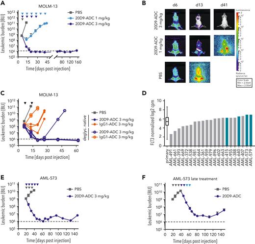 Evaluation of in vivo activity of 20D9-ADC in xenograft mouse models. NSG mice were injected IV with 1 × 105 luciferase expressing MOLM-13 cells (A-C) or 2 × 106 luciferase expressing AML-573 PDX cells (E-F). Leukemic burden was monitored once or twice a week by BLI, and total flux was quantified. Mean ± SD is depicted. Treatment is indicated with triangles in dark blue (20D9-ADC, 3 mg/kg), light blue (20D9-ADC, 1 mg/kg), gray (PBS), or black (all groups as indicated). Dashed black line indicates imaging threshold. (A) One week after transplantation, mice were treated with 20D9-ADC (1 mg/kg or 3 mg/kg, IV) or PBS as control (n = 4/group) once a week for 6 weeks (1 mg/kg) or for 4 weeks (3 mg/kg). (B) BLI pictures of 1 representative mouse per group are shown. (C) One week after transplantation, mice were treated with either native or glycosylated 20D9-ADC or with either native or glycosylated IgG1-ADC (3 mg/kg; n = 3/group) once a week for 2 weeks. PBS control mice of experiment shown in (A) are included as control. (D) FLT3 RNA expression of AML PDX samples (n = 21) and primary patient samples33 (n = 261) analyzed by single cell RNA barcoding sequencing.34 Data presented as normalized log2 counts per million. Samples selected for ex vivo and in vivo analysis are marked in blue. (E) 20 days after transplantation, mice were treated at intermediate tumor burden with 20D9-ADC (3 mg/kg) or PBS as control (n = 3/group) once a week for up to 4 weeks (2 mice) or 5 weeks (1 mouse). (F) PBS-treated control mice from (E) (n = 3) were treated at day 41 after transplantation at advanced tumor burden with 20D9-ADC once a week for 4 weeks (2 doses of 3 mg/kg, followed by 2 doses of 1 mg/kg).