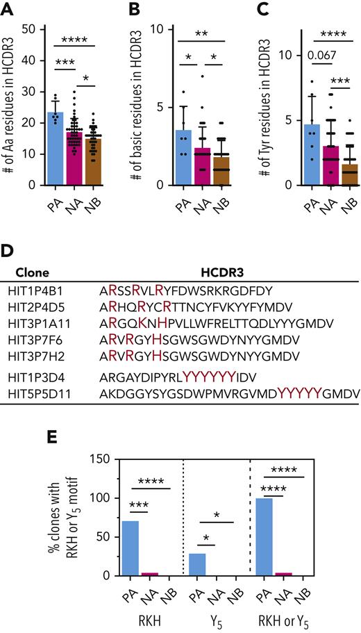 Certain structural features differentiate PA, NA, and NB antibodies. Number of total amino acid residues (A), basic residues (B), and Tyr residues (C) in HCDR3 of 7 PA, 47 NA, and 40 NB clones. (D) HCDR3 sequences of PA clones. RX1-2R/KX1-2R/H (RKH) and YYYYY (Y5) motifs are highlighted in red. (E) Prevalence of clones possessing the RKH and Y5 motifs among PA, NA, and NB antibodies. P values were calculated by the unpaired 2-tailed Student t-test (A-C) and by Fisher exact test (E). Error bars indicate mean ± SD. ∗P < .05, ∗∗P < .01, ∗∗∗P < .001, and ∗∗∗∗P < .0001.