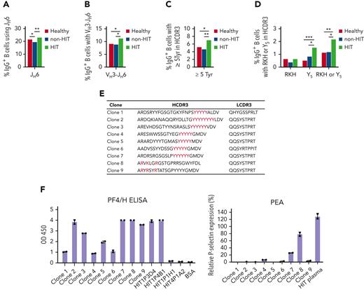 Analysis of peripheral blood IgG+B-cell repertoires in patients with HIT (HIT), patients given heparin without experiencing HIT (non-HIT), and healthy persons. (A) Percentage of IgG+ B cells using the JH6 gene in the 3 populations. (B) Percentage of IgG+ B cells using a VH3-JH6 combination. (C) Percentage of IgG+ B cells possessing at least 5 Tyr residues in HCDR3. (D) Percentage of IgG+ B cells possessing an RKH or Y5 HCDR3 motif. Sequences identified in the 3 groups were pooled for analysis. (E) HCDR3 sequences containing RKH or Y5 identified in repertoire sequencing of peripheral blood IgG+ B cells from patients with HIT that were expressed as recombinant IgG antibodies in a pairing with κ chains containing the indicated κ chain CDR3s selected, as described in text. (F) Functional behavior of 9 clones containing HCDR3 and LCDR3 sequences, shown in Figure 5E. Left: Each of 9 clones reacted strongly with PF4/H in ELISA. Right: Two clones, 1 with RKH and 1 with the Y5 motif, also activated PF4-treated platelets. P values were calculated by Fisher exact test. ∗P < .05, ∗∗P < .01, ∗∗∗P < .001, and ∗∗∗∗P < .0001.