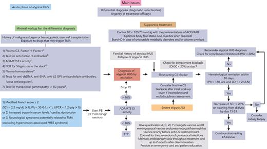 Proposed algorithm for the diagnosis and management of aHUS in the acute phase.aLow C3 and/or low factor H or I plasma levels are suggestive of complement-mediated aHUS. bPositivity at significant titers is diagnostic of autoimmune aHUS. cActivity of <10% is diagnostic of ADAMTS13 deficiency TTP. dPositivity is diagnostic of Shiga toxin–producing E. coli HUS. eLevel of >100 mmol/L is suggestive of cobalamin C deficiency HUS (as well as increased plasma and/or urine methylmalonic acid and low plasma methionine level). Confirmation by genetic testing (MMACHC gene). Cobalamin C deficiency HUS is increasingly diagnosed in young adults. fPositivity is suggestive of autoimmune disease–associated HUS. gMonoclonal gammopathy–associated TMA carries severe renal and potentially extrarenal (skin and central and peripheral nervous system) involvement, and frequent (up to 75% of cases) features of complement alternative pathway activation. ACEI/ARB, angiotensin converting enzyme inhibitors/angiotensin 2 receptor blocker; AKI, acute kidney injury; BP, blood pressure; dsDNA, double-stranded DNA; ENA, extractable nuclear antigen; FFP, fresh frozen plasma; GPI, glycoprotein I; HD, hemodialysis; PCR, polymerase chain reaction; PE, plasma exchange; Plt, platelet count; PRES, posterior reversible encephalopathy syndrome; SCr, serum creatinine; UPCR, urinary protein/creatinine ratio.