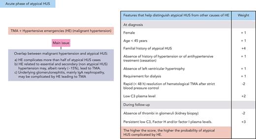Proposed features with variable weighting that help distinguish aHUS from other causes of HEs. These features may be used to calculate a score; the higher the score, the higher the probability of aHUS.