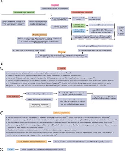 Considerations regarding the long-term management of atypical HUS patients. (A) Proposed algorithm for the long-term management of aHUS. (B) Special considerations regarding (1) pregnancy-associated atypical HUS and pregnancy in women with a history of atypical HUS, (2) infectious complications of C5 blockade in atypical HUS patients, and (3) surgery in atypical HUS patients. CKD, chronic kidney disease; eGFR, estimated glomerular filtration rate; siRNA, silencing RNA.