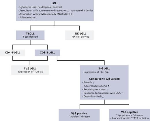 Dissecting LGLL. B-NHL, B-non-Hodgkin lymphoma; esp., especially; MGUS, monoclonal gammopathy of undetermined significance; SPM, second primary malignancy; STAT, signal transducer and activator of transcription.