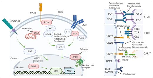 Investigational therapeutic landscape of RS. Small molecule targeted agents and immune therapeutics currently in open or recently completed clinical trials for RS. Image created with BioRender software.