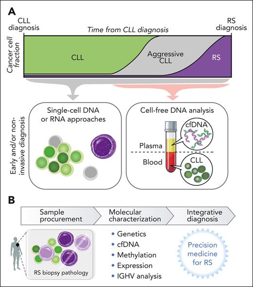 Translational potential of RS investigation. (A) Examination of single cells and/or plasma offers opportunity for early detection of RS clones or RS molecular changes, which may translate to enable early or noninvasive diagnosis. (B) The potential of molecular characterization along with traditional histopathology assessment to refine RS diagnosis.