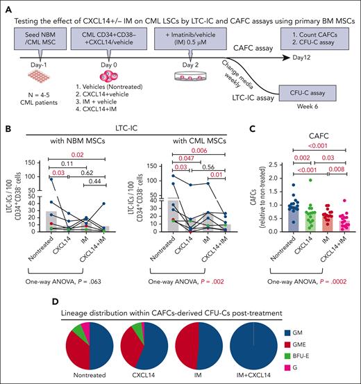 Recombinant CXCL14 inhibits CML CD34+CD38– LSC growth and promotes their response to TKI treatment in vitro. (A) Experimental design for assessing the effect of CXCL14 on CML CD34+CD38– LSCs by LTC-IC and CAFC assays using primary BM MSCs. FACS-sorted BM MSCs from healthy donors (NBM) or patients with CML were expanded and plated 1 day before seeding CML CD34+CD38− BM cells into the culture in presence of CXCL14 (10 ng/mL). Imatinib (IM, 0.5 μM) was added at 2 days after coculture initiation, and the cultures were maintained for 6 weeks. For CAFC assay, the colonies were counted and transferred to methylcellulose for CFU-C assay. (B) LTC-ICs derived from CML CD34+CD38– LSCs cocultured with NBM or CML MSCs. Horizontal bars represent median values, and each dot represents the mean of triplicate or duplicate measurements from an individual BM sample. The data were from 7 patients with CML. The differences were determined by paired t test and one-way analysis of variance Friedman test. Green and red dots indicate data from the same patient but from different culture experiments with different donor MSCs. (C) CAFCs derived from CML CD34+CD38– LSCs cocultured with CML MSCs. Horizontal bars represent mean values, and each dot represents triplicate measurements on an individual patient. Shown are normalized CAFCs based on that in the nontreated groups. The data were from 6 patients with CML. The statistical differences were determined by paired t test and 1-way analysis of variance Friedman test. (D) Lineage distribution within the CAFC-derived CFU-Cs after treatment in the cocultures of CML CD34+CD38– LSCs with CML MSCs. Data shown are from 1 representative patient included in the assay in panel C. See also supplemental Figure 6.