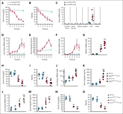 Impaired FGF23 cleavage aggravates functional iron deficiency in acute inflammation. Time course of serum (A) iron and (B) TSAT, (C) Hamp mRNA expression in selected organs, (D) liver Hamp mRNA expression, (E) serum hepcidin, and (F) bone marrow Erfe mRNA expression in 6-week-old WT mice, 6 hours after administration of a single dose of 250 ng/g IL-1β. (G) bone marrow Erfe mRNA expression and serum (H) iron and (I) TSAT, (J) liver Hamp mRNA expression and serum (K) hepcidin in 6-week-old WT and Fgf23Dmp1-cKO mice 6 hours after administration of a single dose of 250 ng/g IL-1β. (L) Liver Hamp mRNA expression, serum (M) hepcidin, (N) iron and (O) TSAT in 6-week-old WT and FurinDmp1-cKO mice 6 hours after administration of a single dose of 250 ng/g IL-1β. n ≥ 5 per group. P < .05 vs (∗) Ctr, (a) WT Ctr, (b) cKO Ctr, (c) WT IL-1β.
