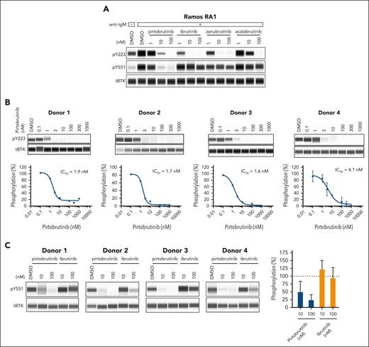 Differential impact of pirtobrutinib and cBTKis on BTK phosphorylation in Ramos RA1 cells and human CLL cells. Autophosphorylation at BTK Y223 and phosphorylation at BTK Y551 were measured by Simple Western in Ramos RA1 cells (A) and human CLL cells (B and C). (A) Ramos RA1 cells were treated with pirtobrutinib, ibrutinib, acalabrutinib, or zanubrutinib for 2 hours before stimulation with anti-IgM for 10 minutes. A representative Simple Western image shows the differential effect of pirtobrutinib vs the cBTKis on BTK Y551 phosphorylation in these cells. (B) PBMCs from 4 treatment-naive donors with CLL were treated with ascending doses of pirtobrutinib. Simple Western images show the potent inhibition of pirtobrutinib on BTK Y223 phosphorylation, with corresponding dose-response curves and calculated IC50 values shown below. Donor 4 was tested in 2 independent experiments with mean ± SD shown. (C) PBMCs from the 4 donors with CLL were treated with pirtobrutinib or ibrutinib at 10 or 100 nM. Simple Western images and a corresponding bar chart show the differential effect of pirtobrutinib and ibrutinib on Y551 phosphorylation in the PBMCs from the 4 donors with CLL (mean and SD are graphed). DMSO is measured in percentage for all blots. pY223, phospho-BTK Y223; pY551, phospho-BTK Y551; tBTK, total BTK.