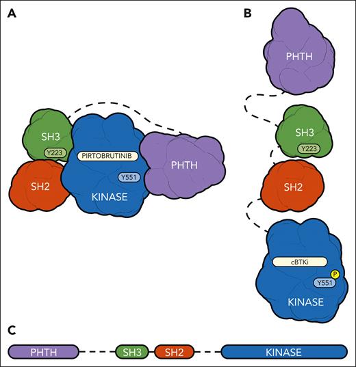 Hypothesized binding models for pirtobrutinib and covalent BTK inhibitor. (A) We hypothesize that pirtobrutinib stabilizes BTK in a closed, inactive conformation, whereas (B) cBTKi binding destabilizes the closed conformation, providing upstream kinase access to phosphorylate Y551. (C) A cartoon representation showing the domain organization of BTK.