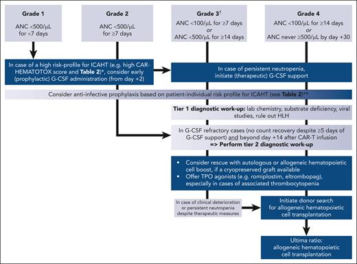 Treatment algorithm for immune effector cell–associated hematotoxicity. ∗High risk defined as previous history of hematopoietic stem cell transplantation, baseline cytopenia, high tumor burden, systemic inflammation, and presence of BM infiltration. ∗∗Antifungal prophylaxis particularly recommended in patients with previous invasive fungal disease, previous allo-HCT, and receiving corticosteroids (long-term >72 hour or high dose). Decision for/against antibacterial prophylaxis should incorporate local bacterial epidemiology (eg, prevalence for multidrug-resistant gram-negative bacteria); not recommended for patients with a low-risk profile for ICAHT. †Also extends to late ICAHT if these criteria are met.