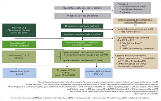 Treatment disposition. Forty-one patients were enrolled and treated, and 34 patients completed induction and consolidation treatment. Twenty-one patients stopped according to protocol at the final restaging. Seven patients discontinued before C15, not according to protocol, because of the reasons described. Six patients continued ibrutinib maintenance until cycle 36.