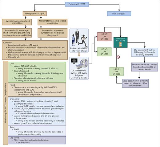 Approach to the assessment and management of anemia and iron overload in NTDT. The assessment and management of NTDT focuses on the manifestations and severity of anemia and iron overload. The general management of patients with NTDT is summarized. ∗Luspatercept is only approved for NTDT in the European Union. Dosing and monitoring of luspatercept and hydroxyurea should follow local prescribing information. The choice and duration of therapy (used for prevention or management of adverse outcomes) should rely on overall patient well-being, symptoms, comorbidities, access, and patient preference. †Deferasirox dosing and safety monitoring to follow local prescribing information. ALT, alanine aminotransferase; AST, aspartate aminotransferase; BMD, bone mass densitometry; DT, dispersible tablet; ECG, electrocardiogram; FCT, film-coated tablet; FSH, follicle stimulating hormone; LH, luteinizing hormone; LVEF, left ventricular ejection fraction; SF, serum ferritin in ng/mL; TSH, thyroid stimulating hormone; ULN, upper limit of normal. Figure created with BioRender.