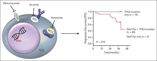 Three-year PFS data from the CLL2-GIVe trial stratified by TP53 status. Patients with TP53 mutation only (n = 15, blue curve) displayed superior PFS with the triplet combination of obinutuzumab, ibrutinib, and venetoclax compared with patients with both del(17p) and TP53 mutation (biallelic TP53 loss, n = 24) or del(17p) alone (n = 2).