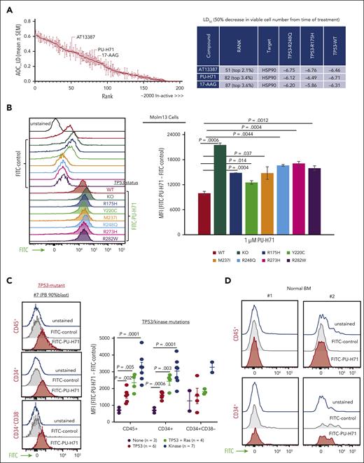 HSP90 is a therapeutic target independent of TP53 gene mutation status, and the epichaperome is present in TP53-mutant AML cells and AML stem/progenitor cells. (A) High-throughput screening of ∼2400 approved drugs identified ∼200 compounds with activity in TP53-WT, TP53-R248Q, and TP53-R175H Molm13 cells independent of TP53 mutation status (left, red indicates HSP90 inhibitors). The error bars are the SEM of AOC_LD of the 3 cell lines. Three agents targeting HSP90 are top hits (right). Viable cell counts were normalized to the median cell count at the time of drug addition. A value of 1 represents negative control-like growth, values between 0 and 1 represent cyto-suppression, and negative values denote loss of cells from baseline. (B-D) The epichaperome was identified in Molm13 cells with variable TP53 status: (B) (left) a representative experiment and (right) quantification of triplicate experiments in primary AML cells and stem progenitor cells from patients; (C) a representative result from a patient with TP53-mutation (left) and results from TP53-mutant (right), TP53-/RAS-mutant, or kinase-mutant samples and samples without TP53/kinase mutations; and in normal BM controls (D). The epichaperome was identified via flow cytometry using FITC-labeled PU-H71 as probe. AOC_LD, area over the curve lethal dose; MFI, mean fluorescence intensity; SEM, standard error of the mean.