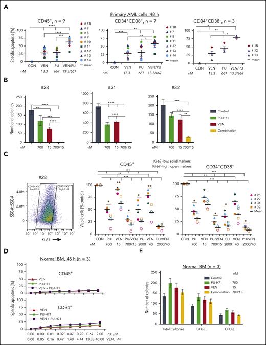 PU and VEN combination synergistically targets AML cells and stem/progenitor cells with TP53 mutations but with limited activities against healthy BM and BM stem/progenitor cells. PB cells from patients with primary AML with TP53 mutations and healthy BM cells were treated with PU, VEN, or both. (A-B) Cell death of AML cells and stem/progenitor cells at 48 hours treatments (A) and clonogenic assay (B) in primary samples from patients. (C) Viable cells in Ki-67–low (solid markers) and –high (open markers) AML cells and stem/progenitor cells from patients with TP53 mutations. (Left) Ki-67 staining of 1 of the samples. (Middle and right) Viable CD45+ cells or CD34+CD38– cells in various treatment groups compared with the untreated control. Patient samples used for various treatments and patient characteristics are shown in supplemental Table 1. (D-E) Cell death at 48-hour treatments (D) and clonogenic assays (E) in healthy BM samples. Primary cells were cocultured with MSCs during treatments. For colony assays, error bars represent mean ± SEM of 3 plating × 2 counting of each sample. ∗P ≤ .05; ∗∗P ≤ .01; ∗∗∗P ≤ .001; ∗∗∗∗P ≤ .0001. BFU-E, burst forming unit-erythroid.